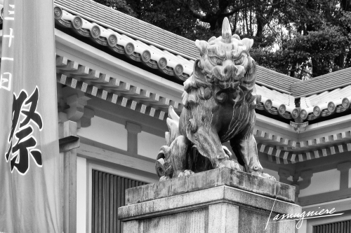 Kyoto en Noir et Blanc- DSC2093-Edit (1)