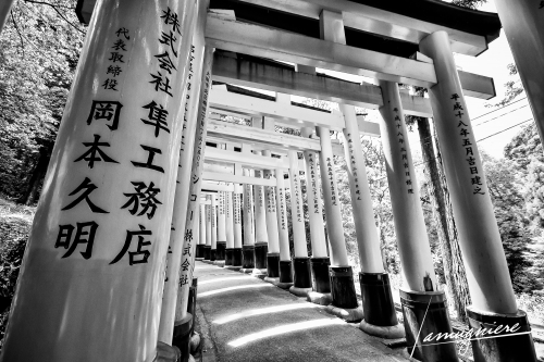 Kyoto en Noir et Blanc- ELA0696-Edit-Edit (1)