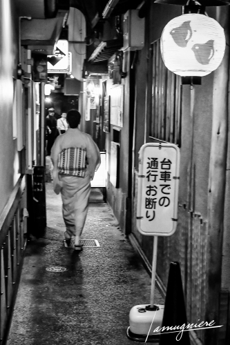 Kyoto en Noir et Blanc- ELA0844-Edit (1)