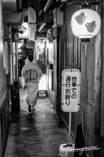 Kyoto en Noir et Blanc- ELA0845-Edit (1)