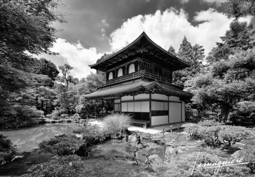 Kyoto en Noir et Blanc- ELA0869-Edit (1)