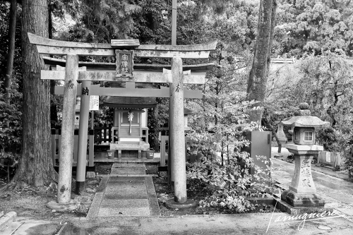 Kyoto en Noir et Blanc- ELA1519-Edit (1)