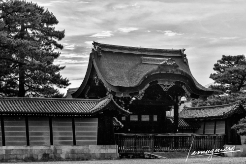 Kyoto en Noir et Blanc- ELA1594-Edit (1)