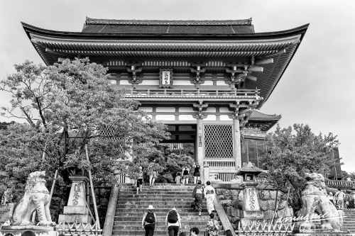 Kyoto en Noir et Blanc- ELA2082-Edit (2)