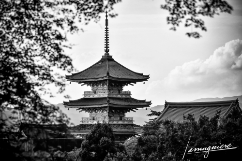 Kyoto en Noir et Blanc- ELA2162-Edit (2)