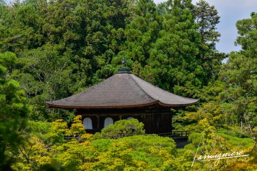 ginkakuji pavillon argent kyoto- ELA0888