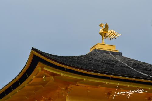 temple kinkaku-ji pavillon or kyoto- ELA1418