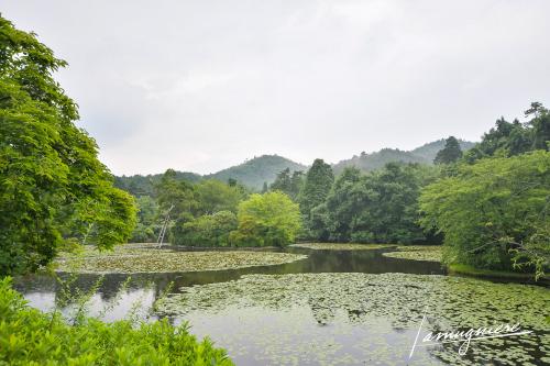 temple ryoan ji et jardin zen kyoto- ELA1481